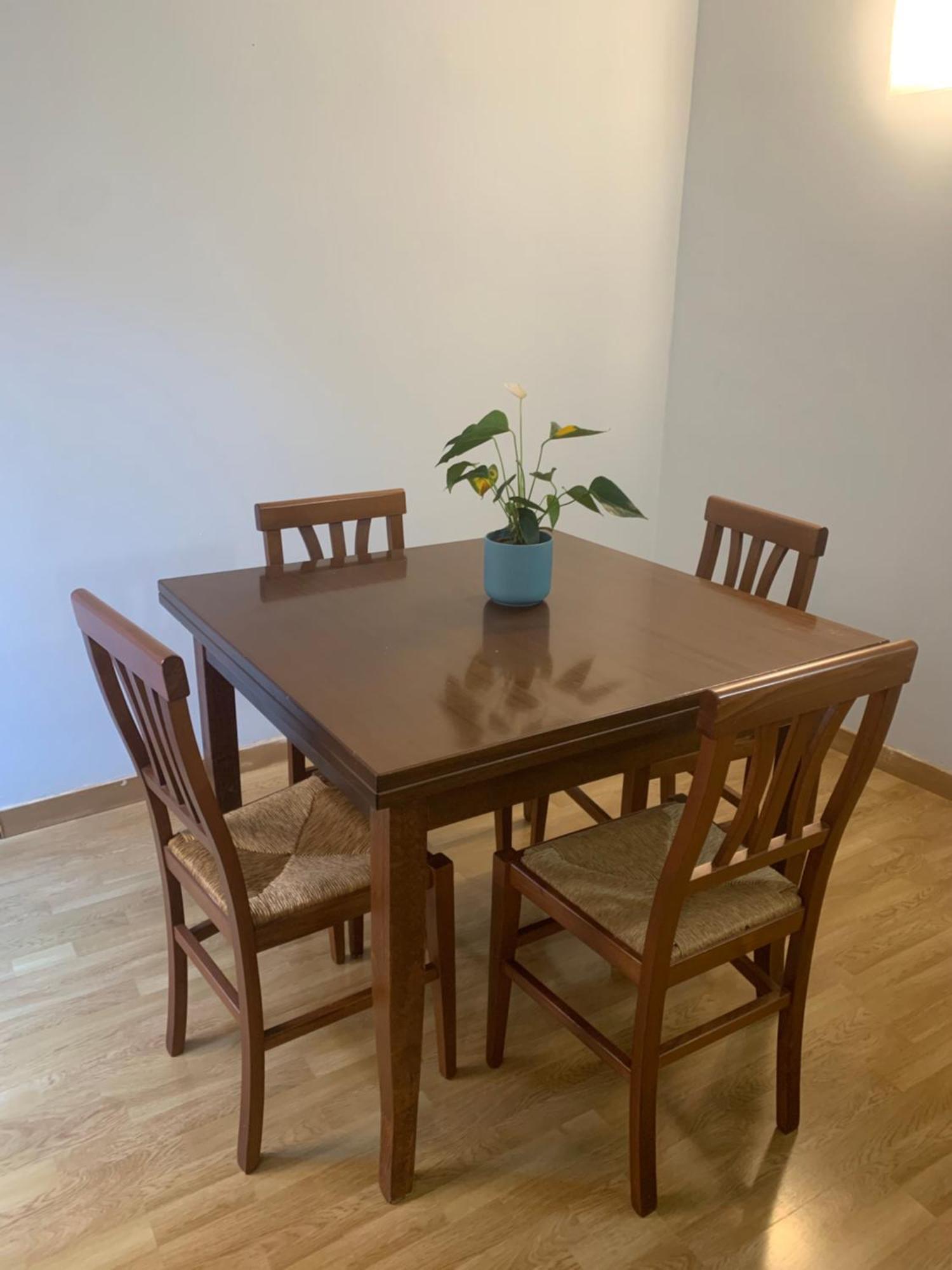 The First Colombo Brignole XX Settembre Apartment Генуа Екстериор снимка